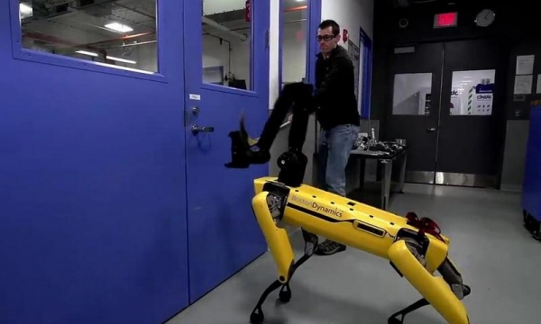 Робототехники проверили собаку-робота на напористость